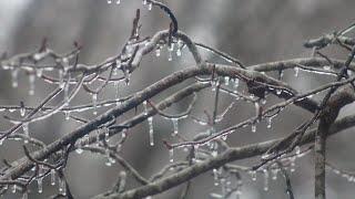 Ice threat remains for metro Atlanta, north Georgia following Friday winter storm