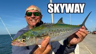 Simple Way To Catch Fish On The Skyway Fishing Pier ( Spanish Mackerel Catch, Clean and Cook)