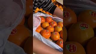 Beautiful Nature - Inspur Fresh Fruit wonderful video of Industry #6132