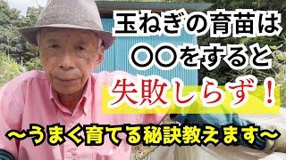 玉ねぎの育苗は〇〇をすると失敗いらず 〜うまく育てる秘訣教えます〜