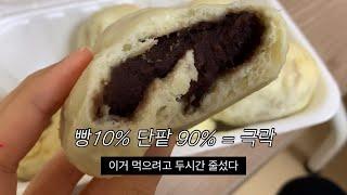 먹방 브이로그 | 롱패딩 믿고 막 먹는 사람 (하트티라미수, 찐빵, 만두, 겨울간식, 디저트먹방, 콘치즈마요, 대패삼겹살덮밥, 집밥먹방, 롤케이크, 땅콩샌드, 폭식, 입터짐)