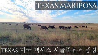 텍사스 마리뽀사_미국 텍사스_시골 풍경_주유소 이야기_여행_시골_Texas Austin_미국의 시골마을 이야기