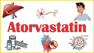 Atorvastatin :- Everything You Need To Know |Mechanism Of Action, Adverse Effects & Indications