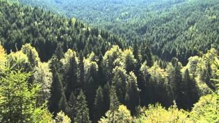 The Carpathians - Europe's Only True Wilderness