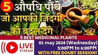 5 ऐसे औषधि पौधे जो आपकी जिंदगी को बदल देंगे || 5 Best Medicinal Plants