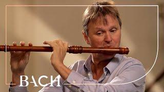 Bach - Flute Partita in A minor BWV 1013 - Root | Netherlands Bach Society