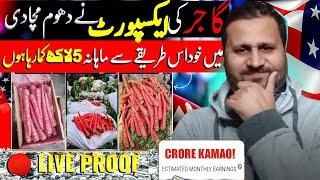 CRORE KAMAO! | Zero INVESTMENT | GAJAR Export karo Pakistan se #exportbusiness