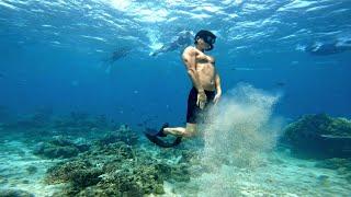 보라카이 호핑투어 프리다이빙 스노클링 스킨다이빙 boracay boracayfreedive boracayfreediving boracaydiving