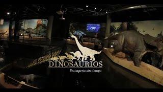 Promo: Dinosaurios, un imperio sin tiempo | Parque Explora