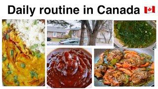 Pakistani Mom Buys Life in Canada  My Daily Routine Vlog ️️