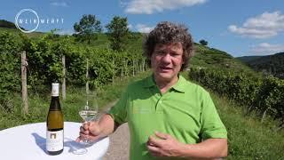 Mauerberg - Robert Schätzle Weingut Schloss Neuweier