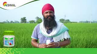 SWAL Feego - Gursewak Singh - Testimonial