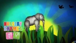 ELEPHANTS HAVE WRINKLES | New Nursery Rhymes | English Songs For Kids | Nursery Rhymes TV