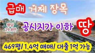 [급매!!] 거제 장목 공시지가 이하 급매 땅- 송진포리 토지 평당 29.8만, 469평, 인수금액 4700만 원