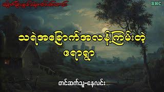 သရဲအခြောက်အလန့်ကြမ်းတဲ့ဧရာရွာ#audiobook #ပရလောက #ghost  #myanmar