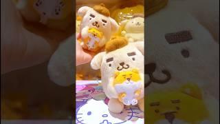 Funny Pompompurin x Shibanban Plush Toys #shorts #pompompurin #kawaiistuff #sanrioaesthetic