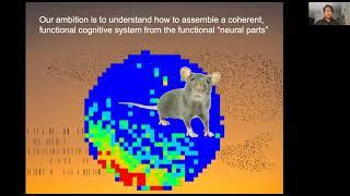 The BRI Joint Seminar In Neuroscience - Andre Fenton, Ph.D.