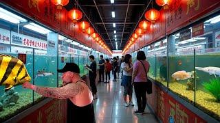 LAST DAY IN CHINA - WE STOPPED AT A SECRET TROPICAL FISH MARKET