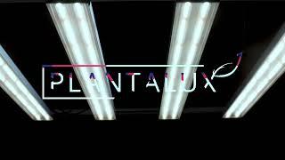 Plantalux horticulture LED lamp - XX640W Full Spectrum