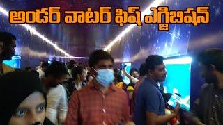 underwater exhibition in guntur | exhibition in guntur | SS Under Tunnel Fish Exhibition | Sri Waves