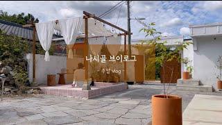 시골집에서의 주말vlog (마당청소) cleaning the country yard