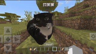 Maxwell the Cat by VelVoxel Raptor - Minecraft PE