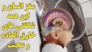 مغز انسان و این همه شگفتی های خارق العاده و عجیب