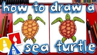 How To Draw A Realistic Sea Turtle