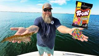 Shrimp VS Gummy Worms BAIT Challenge! | FISH FRY | Catch Clean Cook