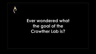 What's the Goal of the Crowther Lab? | Tom Crowther in Conversation with Maas Goote