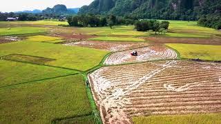 The rice fields I some regions in Indonesia are beautiful I from the sky