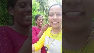 vlog 4u vedieo പിന്നാമ്പുറ കാഴ്ചകൾ ഒന്ന് കണ്ടാലോ 