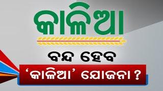 KALIA Scheme For Farmers Likely To Shut Down In Odisha! | Know Details