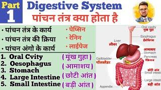 Digestive System ( पांचन तंत्र ) | GI Tract | Organs of Digestive System | Oral Cavity | Oesophagus