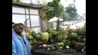 Cutting open a coconut Hawaii vs Trinidad