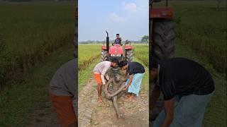 The tractor behind the statue