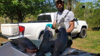 How to Clean a BIG Catfish with James #lazypondfarm Fish & Hunt Blue Cat Cleaning Session