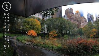 Walking in the Rain in Central Park in Manhattan, New York 4K - NYC Nature Rain Sounds ASMR