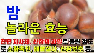 밤의 놀라운 효능 8가지 & 부작용 / "영양만점, 밤의 비밀: 건강과 활력을 찾아서"