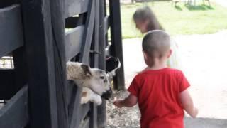 A visit to the Animal Park