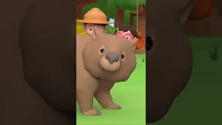 ARE YOU SURE THESE ARE CHOCOLATES?!  | Leo the Wildlife Ranger | #shorts #animals #fun