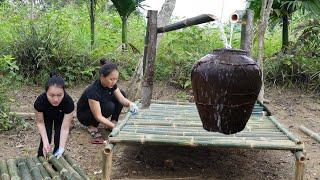 Complete the vegetable washing area and collect water from the forest Trinh Ha - Daily Life