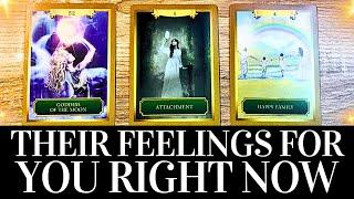 PICK A CARD Their FEELINGS For You RIGHT NOW!  They want you to know THIS!  Love Tarot Reading