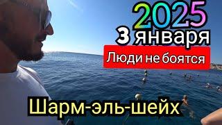 3 января Шарм Эль Шейх 2025  Grand Oasis Resort 4* Какая ситуация сейчас  Сохо