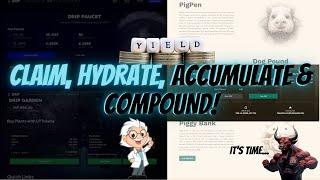 ANIMAL FARM/DRIP NETWORK: Claim, Hydrate, Accumulate & Compound: 8/11/23