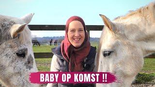 BABY OP KOMST   | 𝘚𝘯𝘶𝘪𝘵𝘢𝘣𝘭𝘦