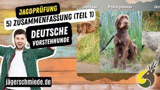 5) Deutsche Vorstehhunde (Teil 1) - Zusammenfasung -  Wissen für deine Jagdprüfung