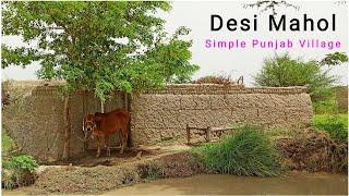 Desi Mahol | Simple Punjab Village Homes and Living Style | Jatt Vlogs