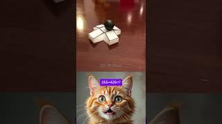 is it possible?️#meme #cat #funny #dance