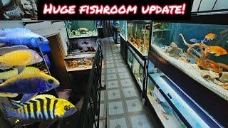 HUGE FISHROOM UPDATE! SHOWING ALL MY AQUARIUMS